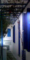 Tinus5.jpg (13818 Byte)