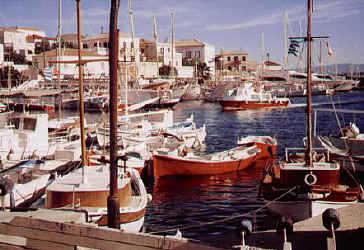 WTaxi.jpg (35208 Byte)