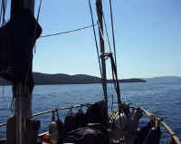 Bug2.jpg (41646 Byte)