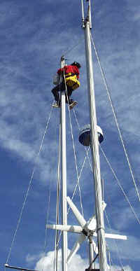 Mast2.jpg (27411 Byte)