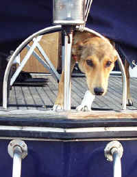 PiaAus.jpg (29613 Byte)