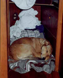 PiaEck.jpg (28230 Byte)