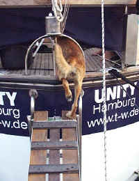 PiaEin.jpg (32171 Byte)